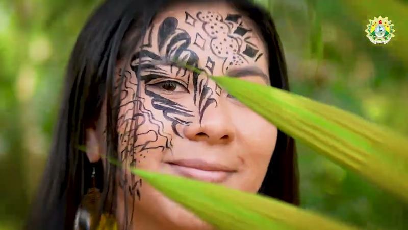 GCF Task Force Força-Tarefa dos Governadores para o Clima e Florestas